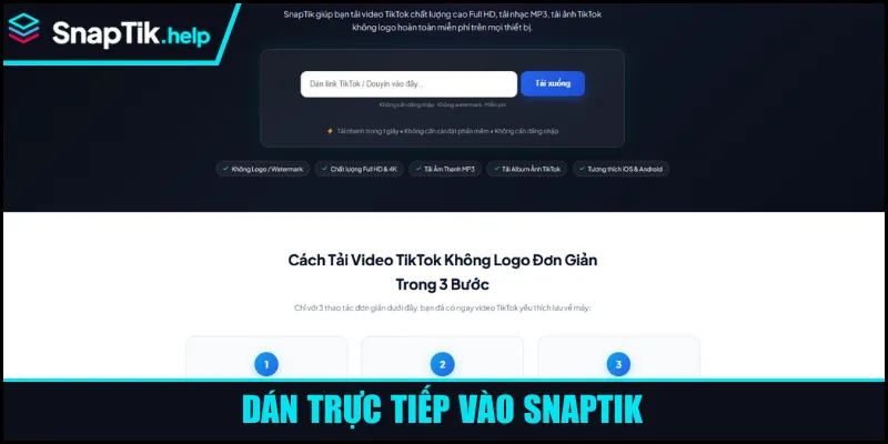 Dán trực tiếp vào SnapTik