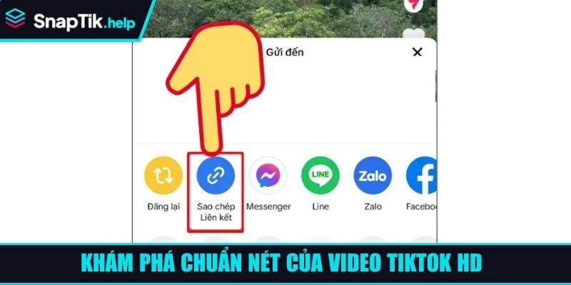 Khám phá chuẩn nét của video TikTok HD