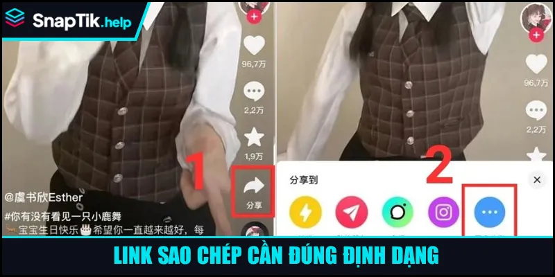 Link sao chép cần đúng định dạng