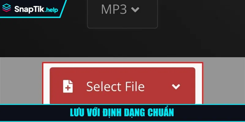 Lưu với định dạng chuẩn