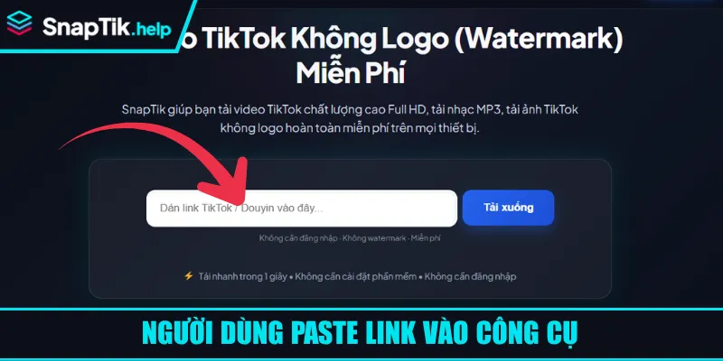 Người dùng paste link vào công cụ