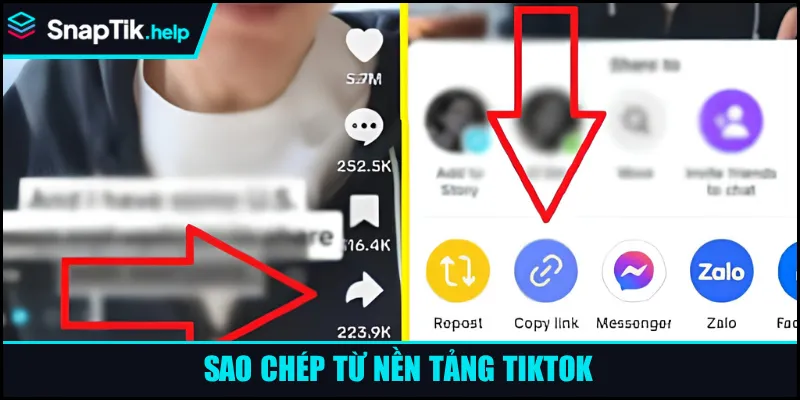 Sao chép từ nền tảng tiktok