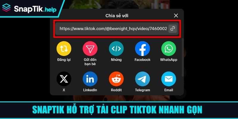 SnapTik hỗ trợ tải clip TikTok nhanh gọn